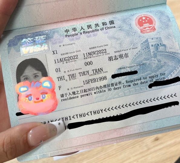 Các loại visa Trung Quốc: Điều kiện làm visa Trung Quốc cho người Việt