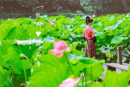 Khám phá vẻ đẹp thiên nhiên tại Khúc viện phong hà cùng  Yes Việt Nam
