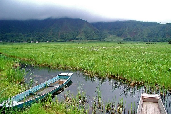 Hệ sinh thái phong phú tại vùng ngập nước Bắc Hải Đằng Xung