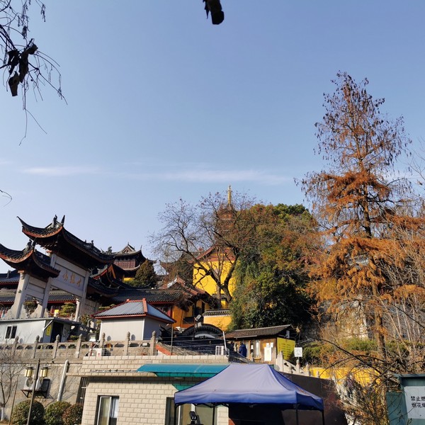 Thăm thú Jiming Temple