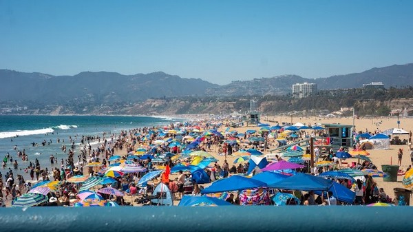 Còn nhiều hoạt động khác đang chờ bạn khám phá tại Cầu Cảng Santa Monica