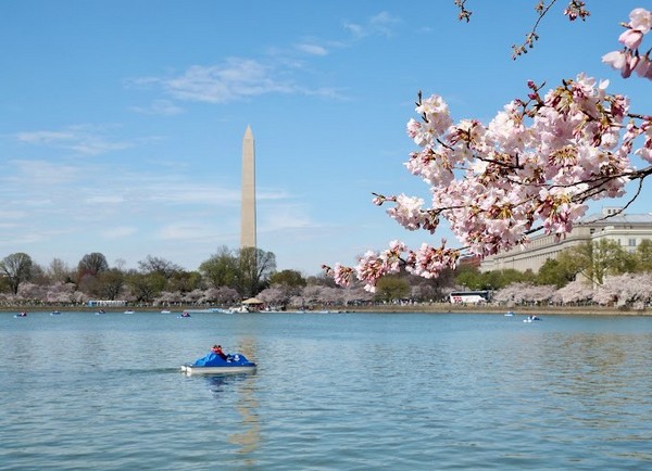 Đài tưởng niệm Washington là một trong những địa điểm chụp hình nổi tiếng