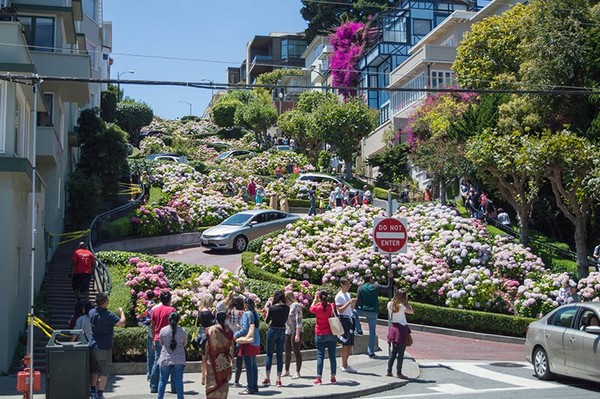 Lombard Street được mệnh danh là con đường ngoằn ngoèo nhất thế giới