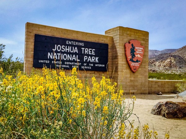 Công viên quốc gia Joshua Tree là nơi bạn có thể khám phá cảnh quan sa mạc