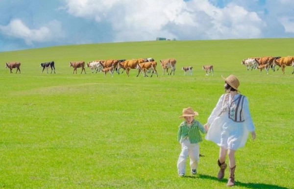 Thảo nguyên Bayinbuluke, một trong những đồng cỏ lớn nhất Trung Quốc