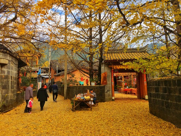 Làng Bạch Quả Đằng Xung tựa chốn bồng lai tiên cảnh