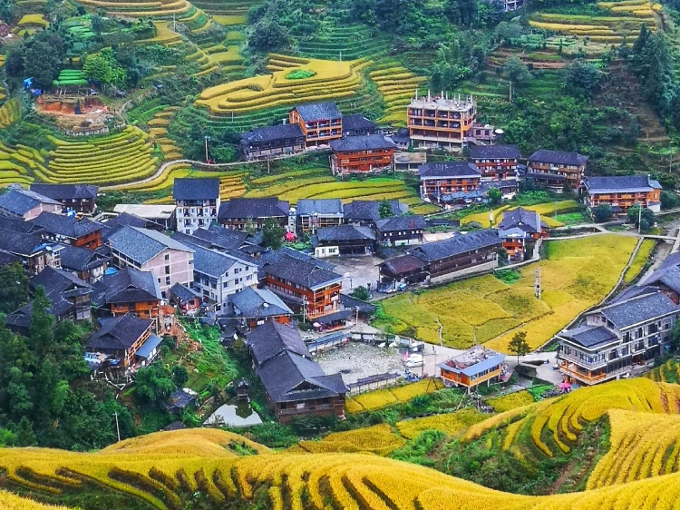 Làng Đại Trại – Nơi hội tụ nhiều danh thắng độc đáo có 1-0-2