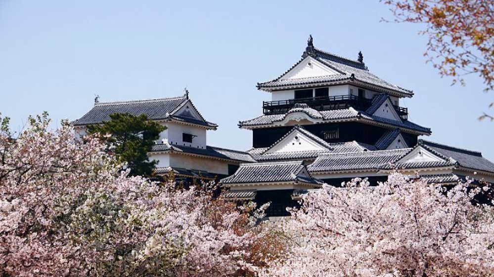 Lâu đài Matsuyama - du lịch Nhật Bản