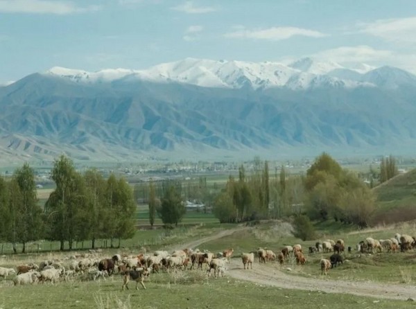 Vẻ đẹp của Núi Thiên Sơn là sự kết tinh kỳ diệu