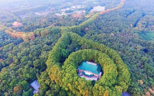 Núi Zijin Shan – Ngọn núi tựa rồng bay uốn lượn giữa bầu trời Nam Kinh