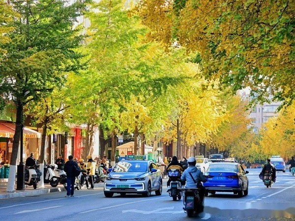 Phố Văn Lâm còn là biểu tượng của tinh thần văn hóa và trí tuệ