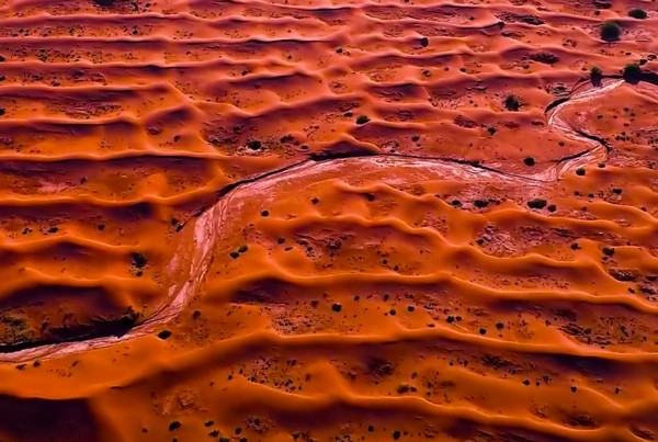 Lướt đi trên mặt cát đỏ rực, chinh phục những đỉnh cao