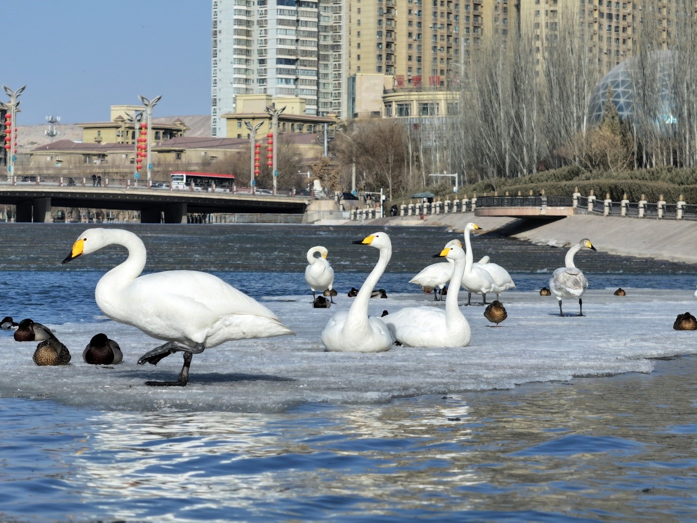 Tên gọi sông Khổng Tước mang trong lòng những câu chuyện lịch sử đầy mê hoặc