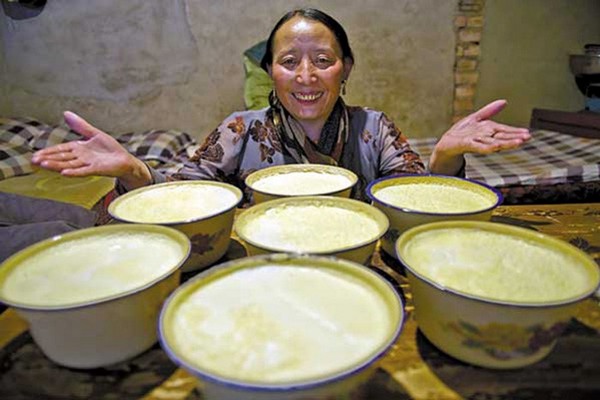 Sữa chua Tây Tạng được lên men từ nấm Kefir