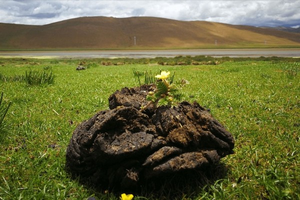 Đánh giá mức độ giàu có của một gia đình dựa vào lượng