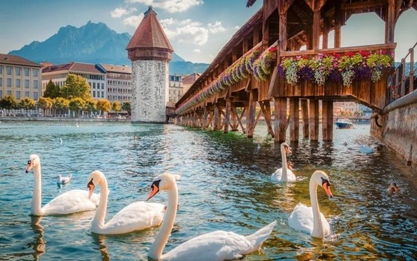 Lucerne được ôm trọn bởi vòng tay của những dãy núi kỳ vĩ như Pilatus và Rigi