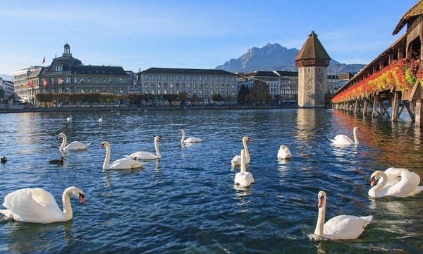 Hồ Lucerne là nơi bạn có thể chiêm ngưỡng vẻ đẹp hùng vĩ của thiên nhiên