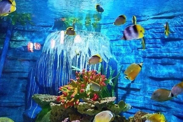 Cửa sổ Đại dương Bắc Hải tọa lạc tại bờ biển Vịnh Bắc Bộ