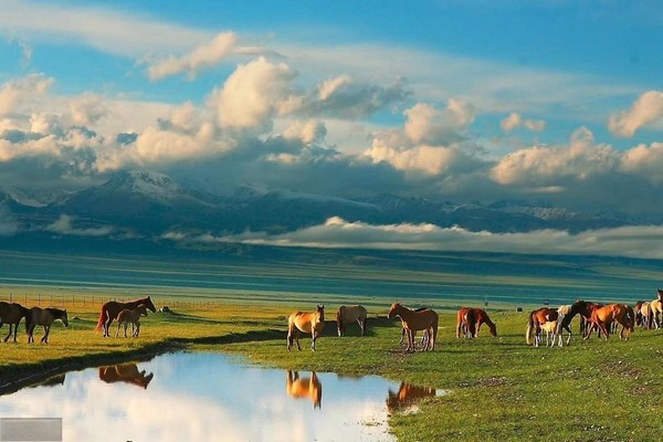 Những cơn gió đại ngàn thổi liên hồi qua vùng bình nguyên