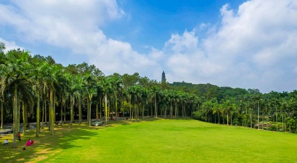 Tháp Long Tượng là khởi đầu cho hành trình khám phá thiên nhiên vô cùng thú vị