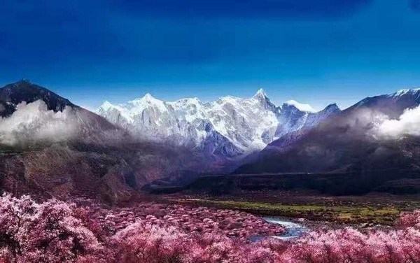 Cảnh quan tại Thung lũng anh đào Bomi Tây Tạng là sự kết hợp hài hòa