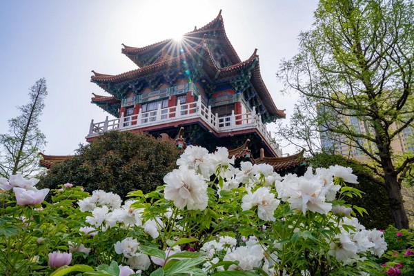 Tour Tây An - Vân Đài Sơn - Lạc Dương - Tây An 6N4Đ (Bay MU) 1