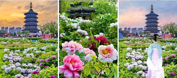 Công viên Vương Thành