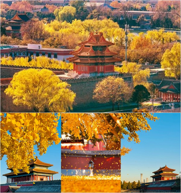 Cố Cung – Tử Cấm Thành (Forbidden City)