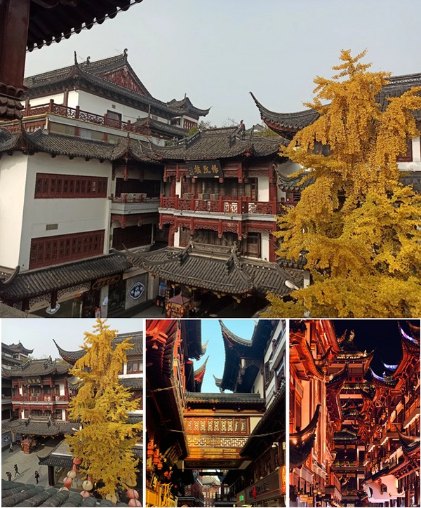 Miếu Thành Hoàng Thượng Hải (Chenghuang Miao)