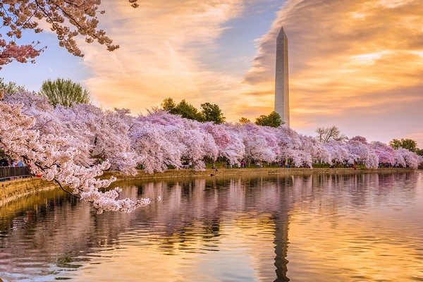 Hồ Tidal Basin