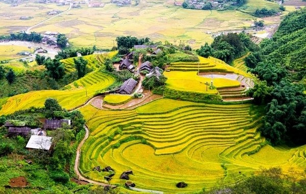 Tour Y Tý Mùa Vàng: Đón Bình Minh Giữa Biển Mây Săn Lúa Chín Vàng 2N1Đ