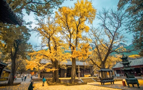 Mùa thu (Tháng 9 - Tháng 11) được xem là