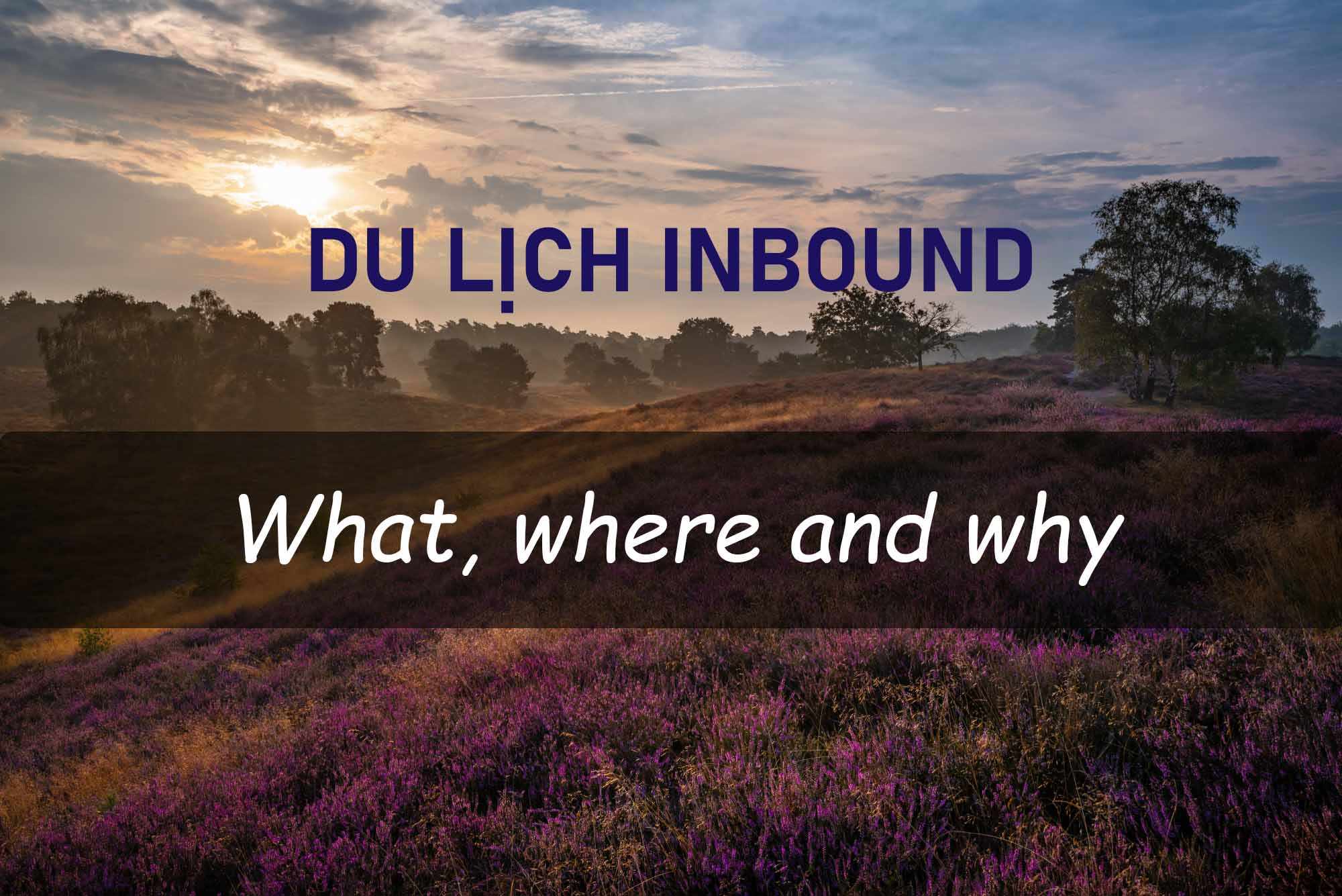 Hiểu rõ hơn về du lịch inbound - Kim Lien Travel