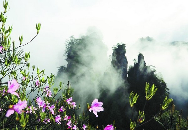 Vũ Lăng Nguyên được UNESCO công nhận là di sản thế giới